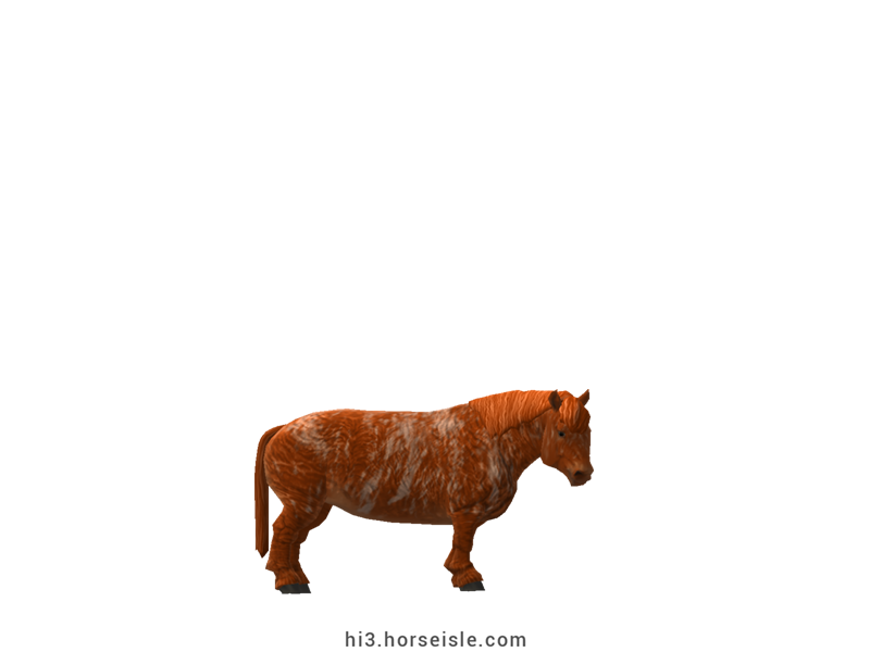 Cow-pony Highland Brindle Red Chestnut Coat
